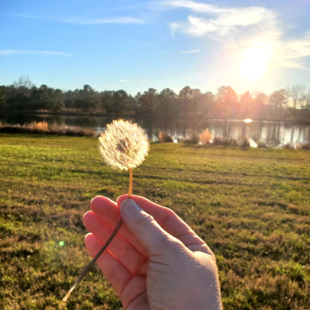 Meet your Posher, Kim